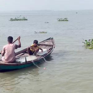 মতলবে নিষেধাজ্ঞা উপেক্ষা করে প্রকাশ্যে ইলিশ শিকার
