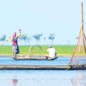 ধুঁকছে হাওর, ভুগছে মানুষ