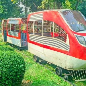 রংপুর চিড়িয়াখানার বিনোদন ট্রেনের নিচে পড়ে শিশুর মৃত্যু