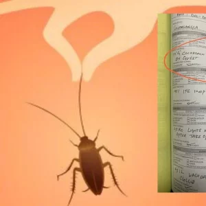 মাঝ আকাশে ‘তেলাপোকাকে ঝুলিয়ে মৃত্যুদণ্ড’