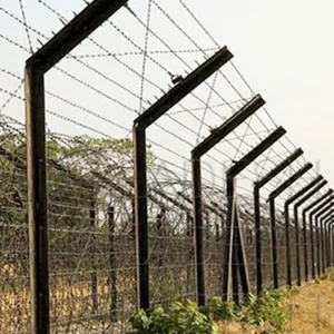 কাঁটাতার পেরিয়ে ভারতে গরু আনতে গিয়ে ২ দিন ধরে নিখোঁজ যুবক