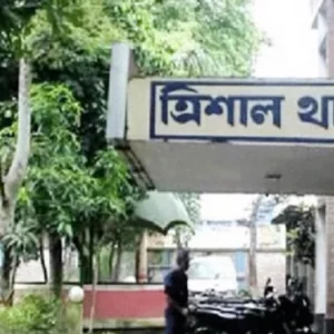 চেহারা মিল থাকায় ‘মেয়ে ভেবে মাকে তুলে নিয়ে ধর্ষণ’, থানায় মামলা