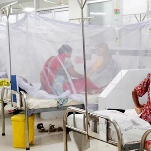 ডেঙ্গুতে আরও ৪ জনের মৃত্যু, হাসপাতালে ১০৪১