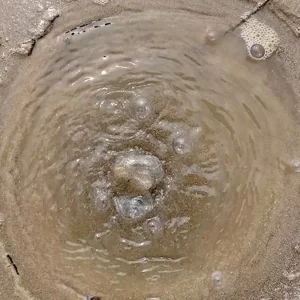 পদ্মার তীরে বুদবুদ, দিয়াশলাই ধরালে জ্বলছে আগুন