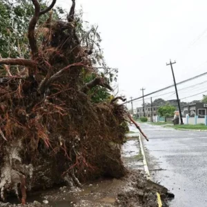 ঘূর্ণিঝড় ‘মেলিসা’র ২৫০ কিমি বেগে প্রবল আঘাত, ক্যারিবীয়ানে নিহত ৭