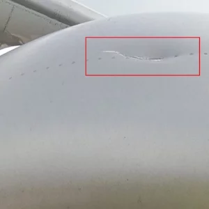 বিমানবন্দরে বোর্ডিং ব্রিজে বিমানের ধাক্কা