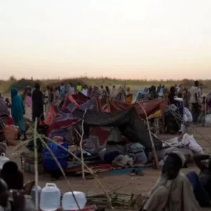 এল-ফাশারে আরএসএফের হত্যাযজ্ঞ: রাস্তাজুড়ে লাশ, পালিয়ে বাঁচছে মানুষ