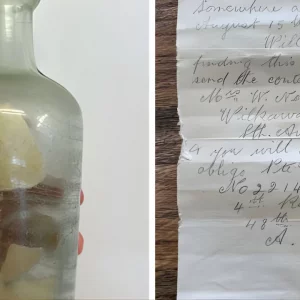 মাকে লেখা শেষ চিঠি বোতলে ভরে ভাসিয়েছিলেন সাগরে, মিলল ১০৯ বছর পর