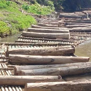 খাগড়াছড়িতে প্রায় সোয়া কোটি টাকার অবৈধ কাঠ জব্দ