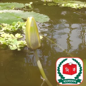 প্রতীক হিসেবে ‘শাপলা কলি’ নিতে সম্মত এনসিপি