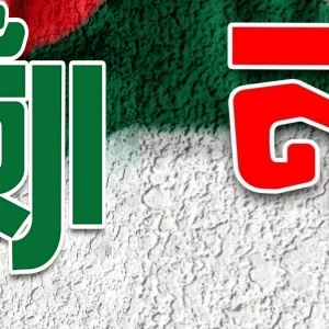 ‘হ্যাঁ’–‘না’ পোস্টে ফেসবুকে তোলপাড়