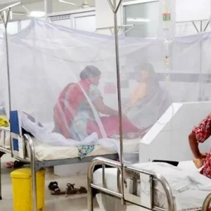 শীত মৌসুম জুড়েই থাকবে ডেঙ্গুর প্রকোপ