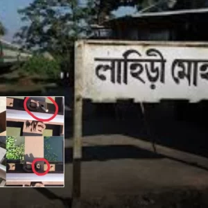 রেলসেতুর নাট খুলে নিয়েছে ‘চোরে’, পরিবর্তে বসলো বাঁশের কঞ্চি