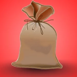 বোনকে খুন করে হাত-পা ভেঙে লাশ বস্তায় ভরেন ভাই, পুলিশকে বলেন ‘বস্তায় গম’