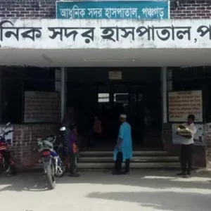 পঞ্চগড়ের বিভিন্ন এলাকায় একযোগে শিয়ালের আক্রমণ, আহত ১১