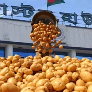 আলু রপ্তানি দেখিয়ে সাড়ে ৭ কোটি টাকা প্রণোদনা আত্মসাৎ, দুদকের মামলায় ১৫ জন আসামি