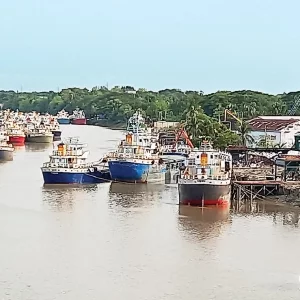 নওয়াপাড়া নদীবন্দরে জাহাজে মাদকসেবীদের দৌরাত্ম্য