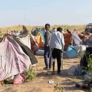সুদানের আল-ফাশারে হাজার হাজার মানুষ নিখোঁজ, নতুন ভয়াবহতার উত্থান