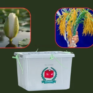 ‘ধানের শীষ’ আর ‘শাপলা কলিতে’ হবে ফাইট: নাসীরুদ্দীন