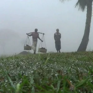 দেশে শীত নামার সময় জানালো আবহাওয়া অফিস