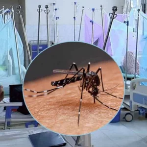 ডেঙ্গুতে আরও ৫ জনের মৃত্যু, হাসপাতালে ভর্তি ১১৬২