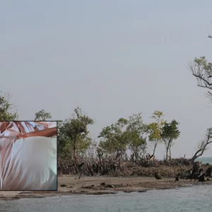 বনরক্ষীদের পিটিয়ে সুন্দরবনে পালালো হরিণ শিকারি