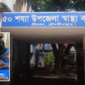 শ্রীমঙ্গলে শিয়াল-বানর-কুকুরের কামড়ে একরাতেই আহত ২৩