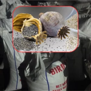 পাখির খাদ্যের আড়ালে পাকিস্তান থেকে এল আমদানি নিষিদ্ধ পপি বীজ