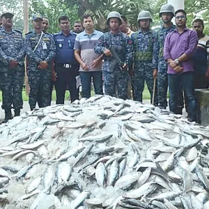 থানা চত্বর থেকে জব্দ করা জাটকা লুট, জিডি করল পুলিশ