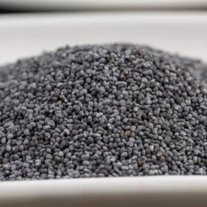 পপি সিড কী, এনিয়ে আইনে কী বলা আছে?