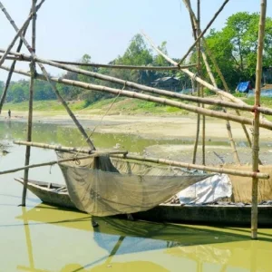 প্রাণ হারাচ্ছে চলনবিল