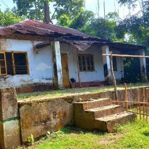 দেশের ৪ বন গবেষণা কেন্দ্রের দুরবস্থা, বরাদ্দের অভাবে হচ্ছে না সংস্কার