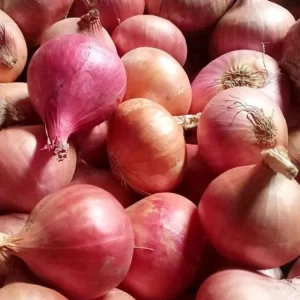 পেঁয়াজ আমদানির সুপারিশ ট্যারিফ কমিশন