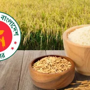 আমন মৌসুমে ধান ৩৪, আতপ ৪৯ ও সেদ্ধ চাল ৫০ টাকায় কিনবে সরকার
