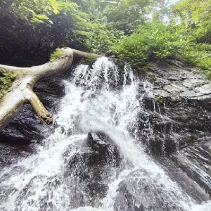 অ্যাডভেঞ্চারপ্রেমীদের প্রিয় শিলাছড়ি ঝরনা