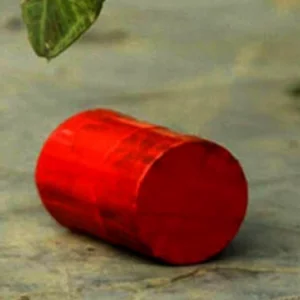 মোহাম্মদপুরের সেন্ট যোসেফ বিদ্যালয়ে ককটেল বিস্ফোরণের ঘটনায় জিডি