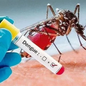 ডেঙ্গুতে মৃত্যুর অর্ধেকের বেশি তরুণ