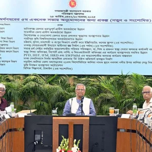 স্বাধীনতা স্তম্ভের সংশোধনীসহ ১২ প্রকল্প একনেকে অনুমোদন