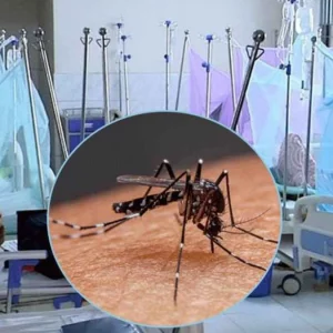 ডেঙ্গুতে আরও ২ জনের মৃত্যু, হাসপাতালে ভর্তি ১১৭৯