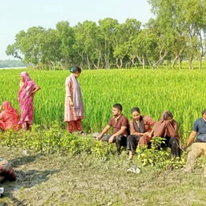 সুন্দরবনে নৌকাডুবি, তিন দিন পর সাবেক পাইলটের মরদেহ উদ্ধার