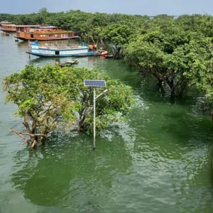 টাঙ্গুয়ার ও হাকালুকি হাওরে নিষিদ্ধ হলো গান-বাজনা