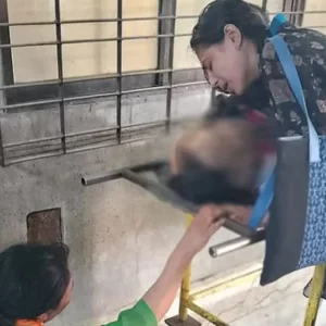 ‘দেখলাম, একজন দৌড়ে হাসপাতালে যাচ্ছেন, পেছন থেকে দুজন ৬-৭টা গুলি করলেন’