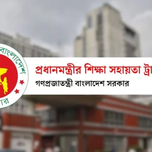 দুর্ঘটনায় আহত শিক্ষার্থীদের এককালীন চিকিৎসা অনুদান দেবে সরকার