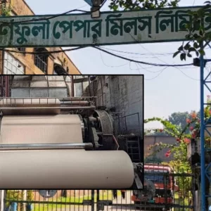 ব্যালট ছাপাতে ৯১৫ মেট্রিক টন কাগজ কিনছে ইসি