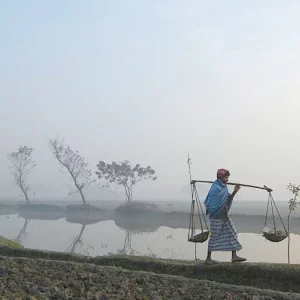 পঞ্চগড়ে শীতের আমেজ, তেঁতুলিয়ায় তাপমাত্রা নেমেছে ১৪ ডিগ্রিতে