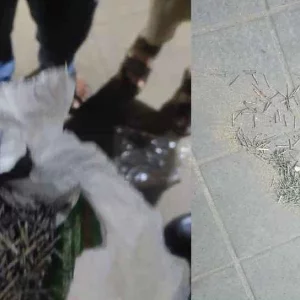 বাংলাদেশ বেতারের সামনে ককটেল বিস্ফোরণ