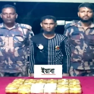 মিয়ানমার থেকে আসা ১ লাখ ২০ হাজার ইয়াবাসহ রোহিঙ্গা আটক