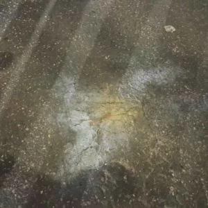 গুলিস্তানে একাধিক ককটেল বিস্ফোরণ