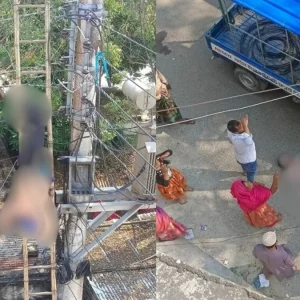 রাজশাহীতে লাইন ‘চালু’ অবস্থায় খুঁটিতে উঠে বিদ্যুৎস্পৃষ্ট নেসকোর দুই কর্মী