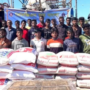 মিয়ানমারে পাচারের পথে বিপুল পরিমাণ ডাল-সিমেন্ট জব্দ